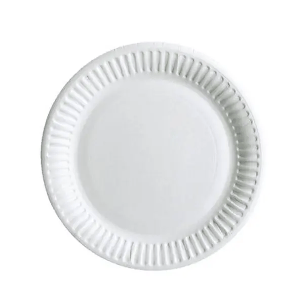 Paper Plate Variant 2